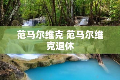 范马尔维克 范马尔维克退休