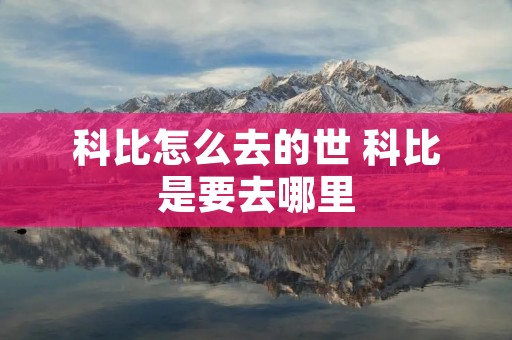 科比怎么去的世 科比是要去哪里