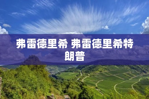 弗雷德里希 弗雷德里希特朗普