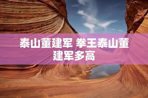 泰山董建军 拳王泰山董建军多高