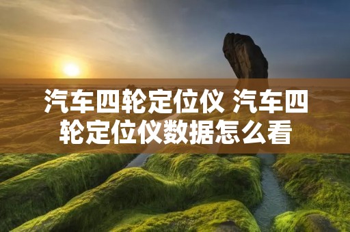 汽车四轮定位仪 汽车四轮定位仪数据怎么看
