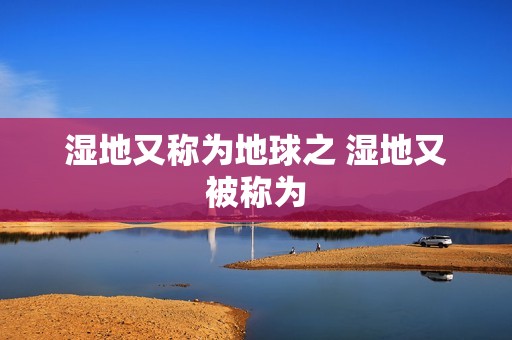 湿地又称为地球之 湿地又被称为