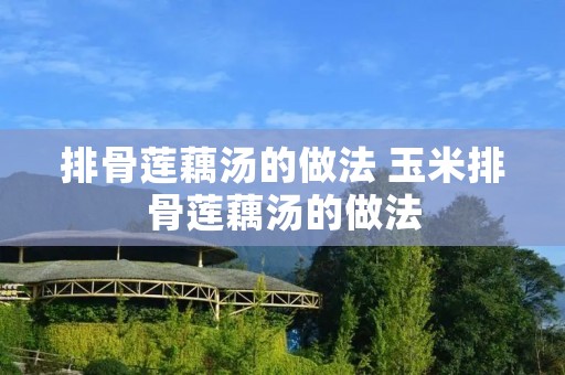 排骨莲藕汤的做法 玉米排骨莲藕汤的做法 排骨莲藕汤的做法 玉米排骨莲藕汤的做法