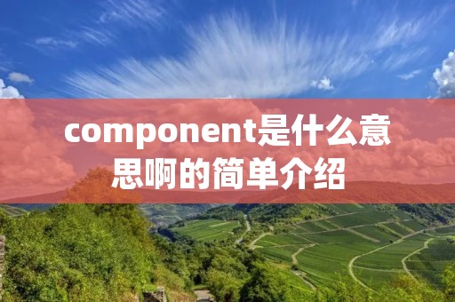 component是什么意思啊的简单介绍 component是什么意思啊的简单介绍