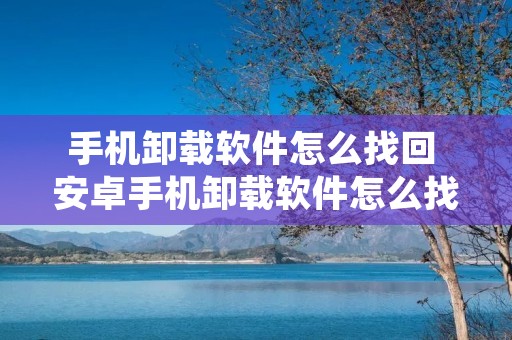 手机卸载软件怎么找回 安卓手机卸载软件怎么找回 手机卸载软件怎么找回 安卓手机卸载软件怎么找回