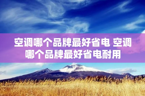 空调哪个品牌最好省电 空调哪个品牌最好省电耐用