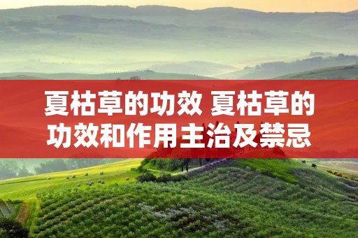 夏枯草的功效 夏枯草的功效和作用主治及禁忌