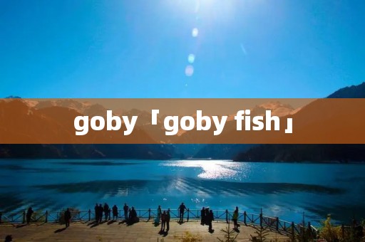 goby「goby fish」