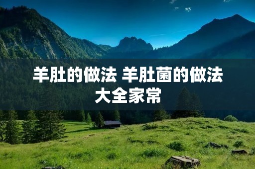羊肚的做法 羊肚菌的做法大全家常 羊肚的做法 羊肚菌的做法大全家常