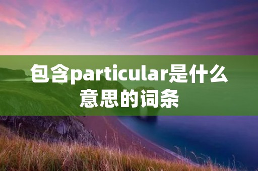 包含particular是什么意思的词条 包含particular是什么意思的词条