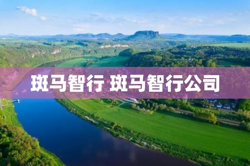 斑马智行 斑马智行公司