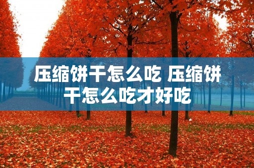 压缩饼干怎么吃 压缩饼干怎么吃才好吃