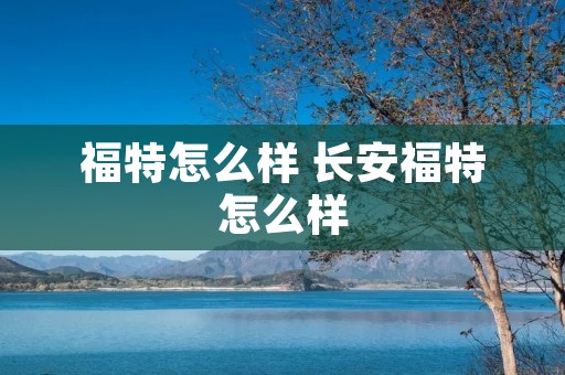 福特怎么样 长安福特怎么样 福特怎么样 长安福特怎么样