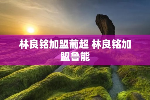 林良铭加盟葡超 林良铭加盟鲁能