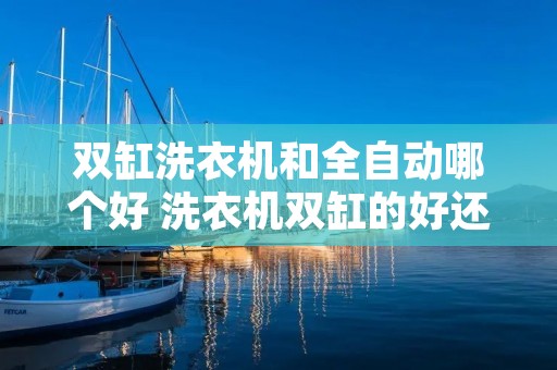 双缸洗衣机和全自动哪个好 洗衣机双缸的好还是全自动的好