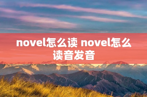 novel怎么读 novel怎么读音发音