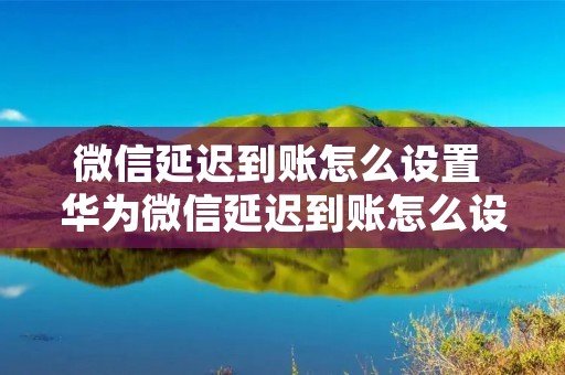 微信延迟到账怎么设置 华为微信延迟到账怎么设置 微信延迟到账怎么设置 华为微信延迟到账怎么设置