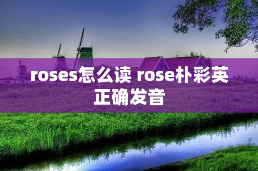 roses怎么读 rose朴彩英正确发音
