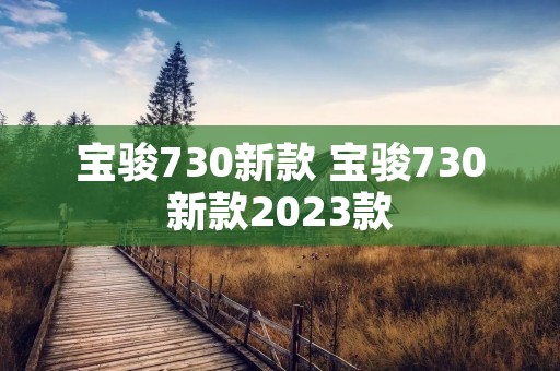宝骏730新款 宝骏730新款2023款