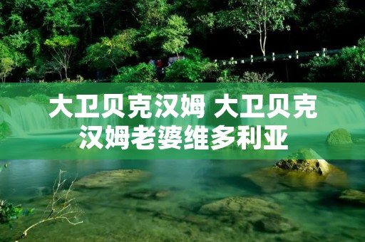 大卫贝克汉姆 大卫贝克汉姆老婆维多利亚