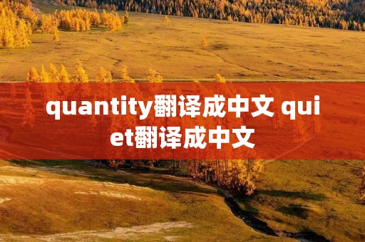 quantity翻译成中文 quiet翻译成中文