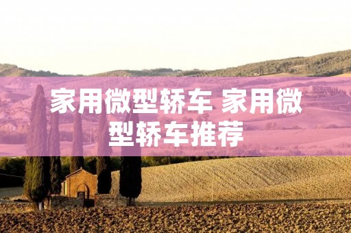家用微型轿车 家用微型轿车推荐