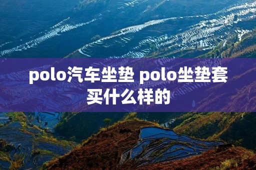polo汽车坐垫 polo坐垫套买什么样的