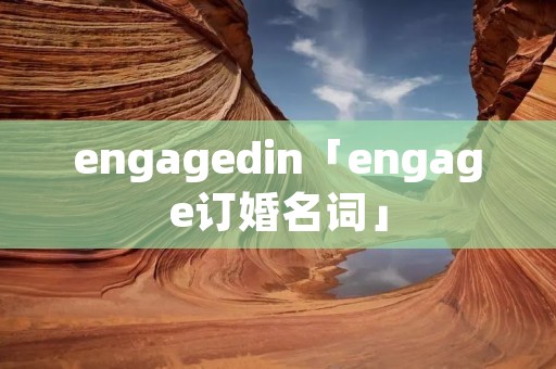 engagedin「engage订婚名词」
