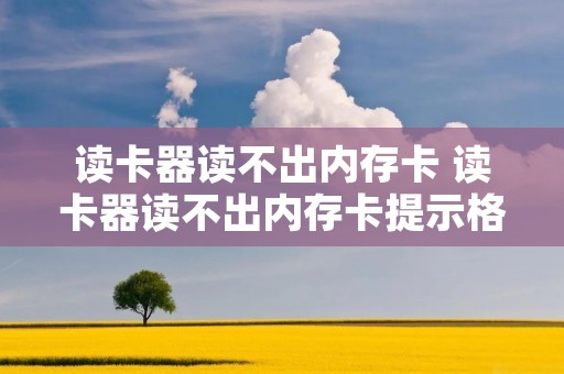 读卡器读不出内存卡 读卡器读不出内存卡提示格式化 读卡器读不出内存卡 读卡器读不出内存卡提示格式化