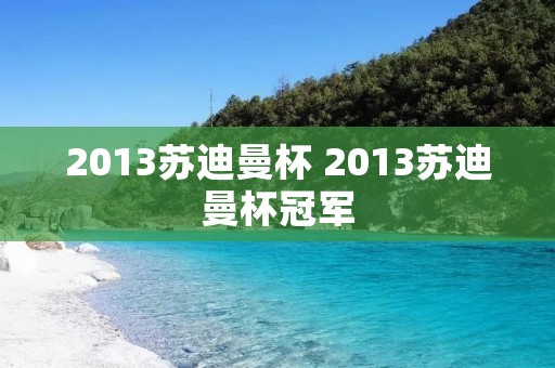 2013苏迪曼杯 2013苏迪曼杯冠军