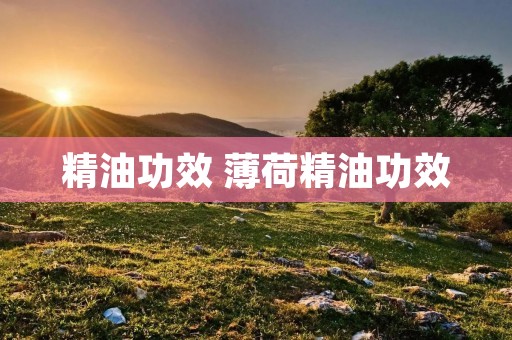 精油功效 薄荷精油功效