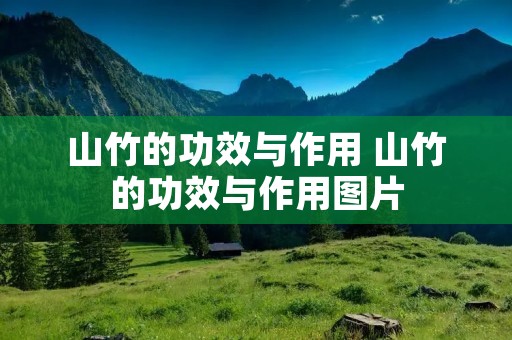 山竹的功效与作用 山竹的功效与作用图片 山竹的功效与作用 山竹的功效与作用图片