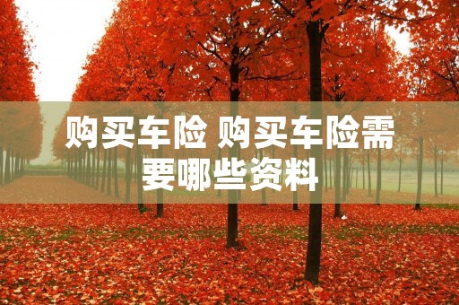 购买车险 购买车险需要哪些资料