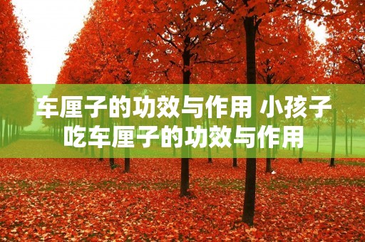 车厘子的功效与作用 小孩子吃车厘子的功效与作用