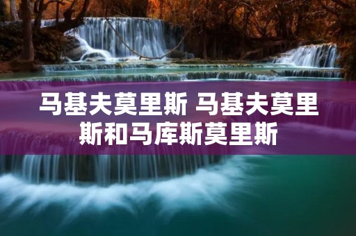 马基夫莫里斯 马基夫莫里斯和马库斯莫里斯