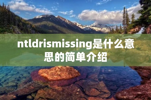 ntldri**issing是什么意思的简单介绍