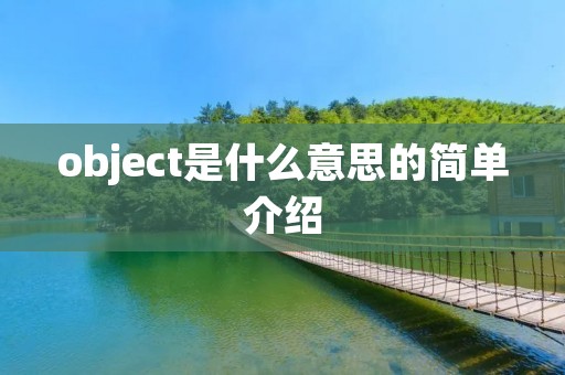 object是什么意思的简单介绍