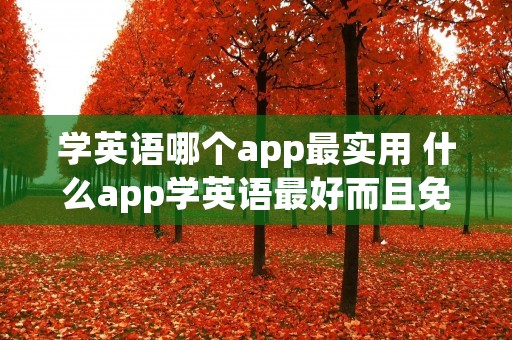 学英语哪个app最实用 什么app学英语最好而且免费