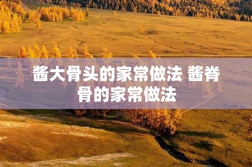 酱大骨头的家常做法 酱脊骨的家常做法