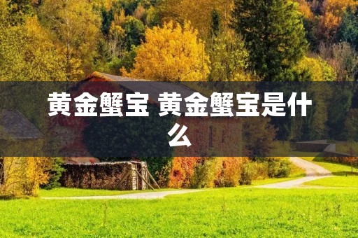 黄金蟹宝 黄金蟹宝是什么