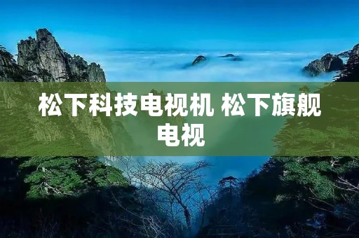 松下科技电视机 松下旗舰电视