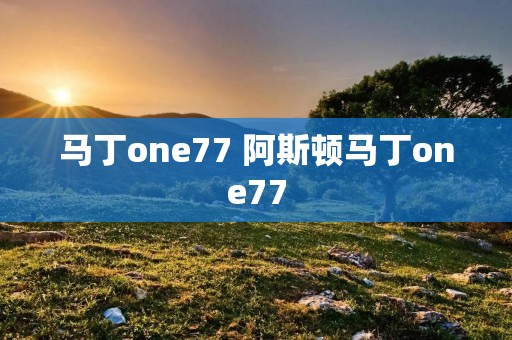 马丁one77 阿斯顿马丁one77