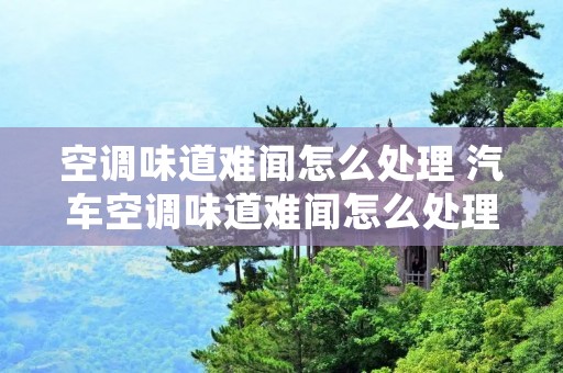 空调味道难闻怎么处理 汽车空调味道难闻怎么处理