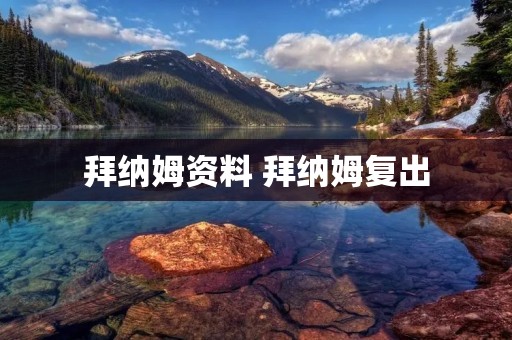 拜纳姆资料 拜纳姆复出 拜纳姆资料 拜纳姆复出