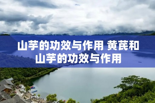 山芋的功效与作用 黄芪和山芋的功效与作用