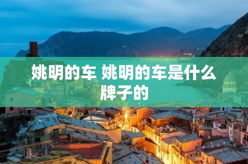 姚明的车 姚明的车是什么牌子的