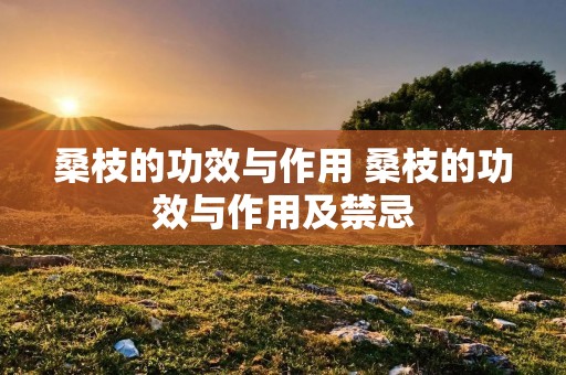 桑枝的功效与作用 桑枝的功效与作用及禁忌 桑枝的功效与作用 桑枝的功效与作用及禁忌