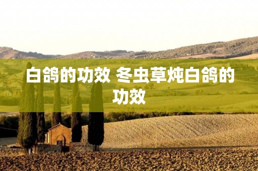 白鸽的功效 冬虫草炖白鸽的功效