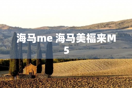 海马me 海马美福来M5