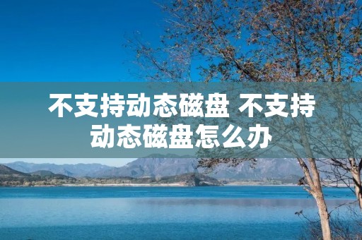 不支持动态磁盘 不支持动态磁盘怎么办